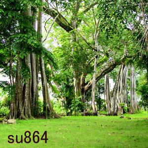 10'x10' SU864